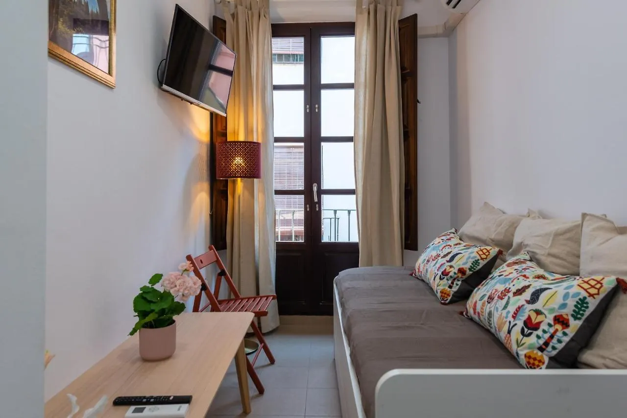 Apartamento San Matias Alto Centro Apartment Granada